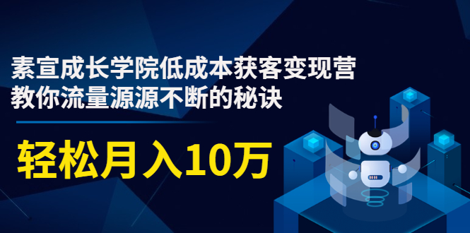素宣成长学院低成本获客变现营,教你流量源源不断的秘诀,轻松月入10万-第一资源库