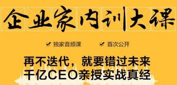 企业家内训大课,未来企业必学经验,价值1299元-第一资源库