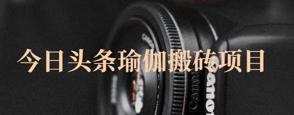 猎人社区·今日头条瑜伽搬砖项目,单号一天几十收入,可以批量操作!-第一资源库