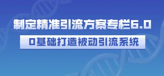 制定精准引流方案专栏6.0,0基础打造被动引流系统-第一资源库