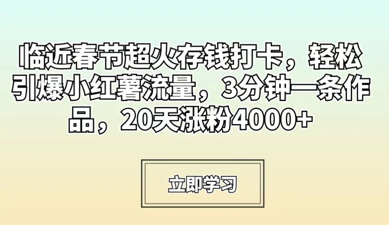 临近春节超火存钱打卡,轻松引爆小红薯流量,3分钟一条作品,20天涨粉4000+【揭秘】-第一资源库