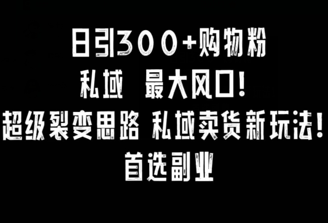日引300+购物粉,超级裂变思路,私域卖货新玩法,小红书首选副业【揭秘】-第一资源库