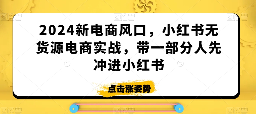 2024新电商风口,小红书无货源电商实战,带一部分人先冲进小红书-第一资源库