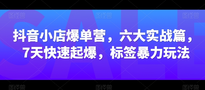 抖音小店爆单营,六大实战篇,7天快速起爆,标签暴力玩法-第一资源库