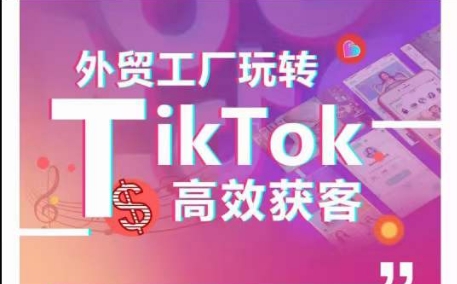 外贸工厂玩转TikTok高效获客,多种引流方式与账号定位技巧,拆解爆款短视频打造成功案例-第一资源库
