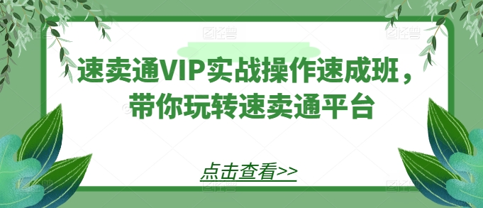 速卖通VIP实战操作速成班,带你玩转速卖通平台-第一资源库