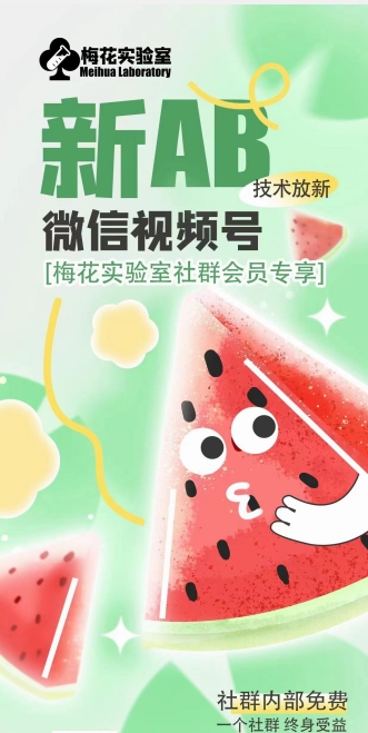 梅花实验室2024年AB技术视频号AB合成破解版-第一资源库