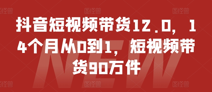 抖音短视频带货12.0,14个月从0到1,短视频带货90万件-第一资源库