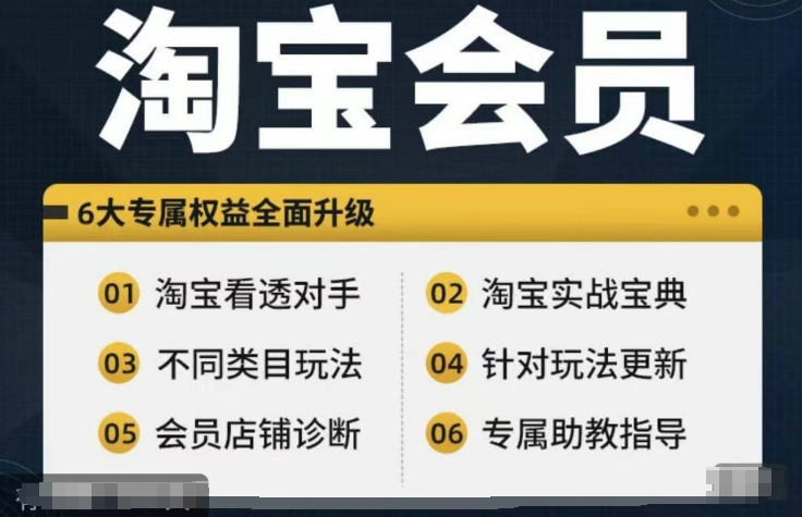 淘宝会员【淘宝所有课程,全面分析对手】,初级到高手全系实战宝典-第一资源库