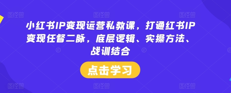 小红书IP变现运营私教课,打通红书IP变现任督二脉,底层逻辑、实操方法、战训结合-第一资源库