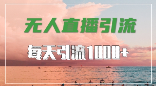 抖音快手视频号全平台通用,无人直播引流法,超暴力引流1000+高质量精准创业粉【揭秘】-第一资源库