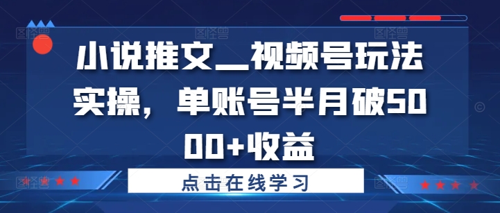 小说推文—视频号玩法实操,单账号半月破5000+收益-第一资源库