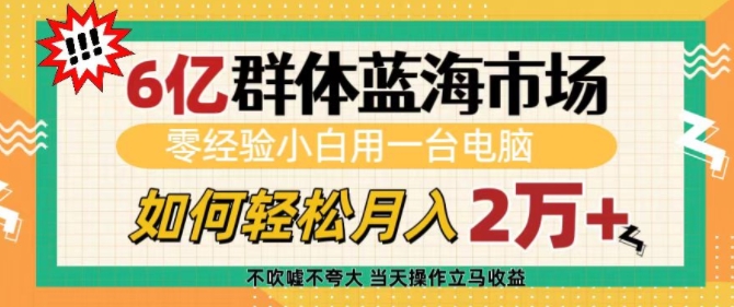 6亿群体蓝海市场,零经验小白用一台电脑,如何轻松月入过w【揭秘】-第一资源库