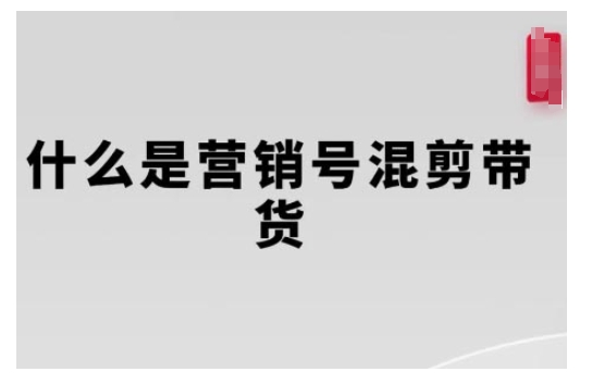 营销号混剪带货,从内容创作到流量变现的全流程,教你用营销号形式做混剪带货-第一资源库