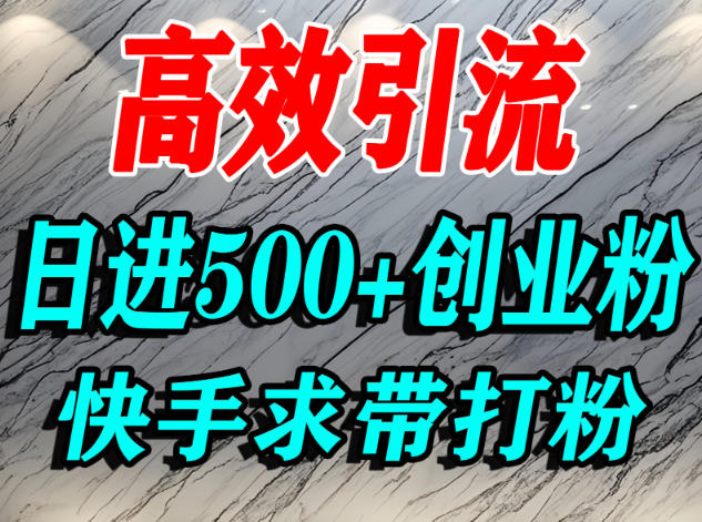 怎么打创业粉？快手求带视角精准引流创业粉，宝妈、学生群体日进500+精准流量-第一资源库