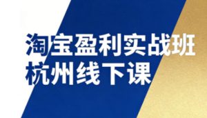 淘宝盈利实战班杭州线下课12月26-28日（音频+字幕），帮你掌握SOP流程+12门核心技术-第一资源库