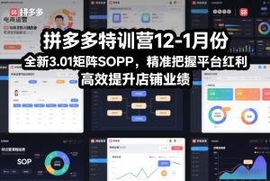 拼多多特训营12-1月份，全新3.01矩阵Sop，精准把握平台红利，高效提升店铺业绩-第一资源库
