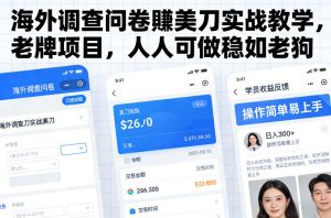 海外调查问卷賺美刀实战教学,老牌项目,人人可做稳如老狗-第一资源库