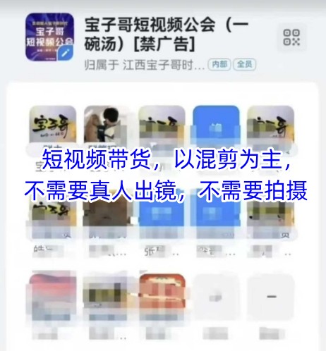 宝子哥头部团队短视频带货，以混剪为主，不需要真人出镜，不需要拍摄【更新26年3月】-菠萝头