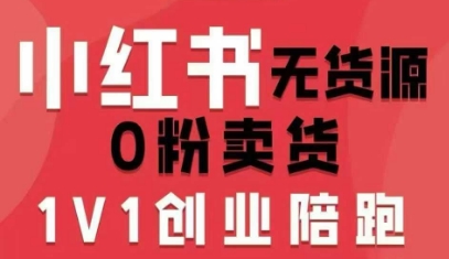 小红书无货源0粉电商课，开店准备、选品策略、笔记撰写、视频剪辑、数据分析、账号打造、资料文档（更新26年3月）-菠萝头