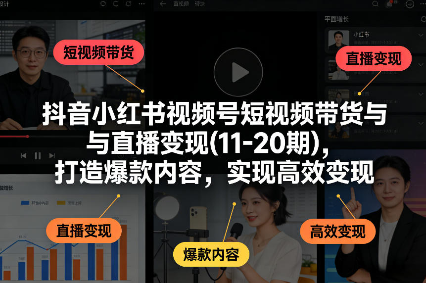 抖音小红书视频号短视频带货与直播变现(10-20期)，打造爆款内容，实现高效变现（更新）-菠萝头