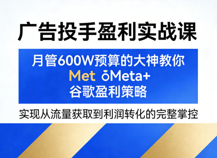 广告投手盈利实战课，月管600W预算的大神教你Meta+谷歌盈利策略，实现从流量获取到利润转化的完整掌控-菠萝头