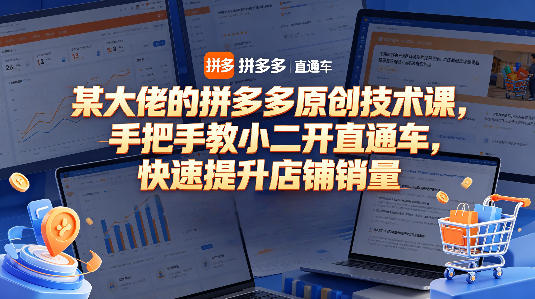 某大佬的拼多多原创技术课，手把手教小二开直通车，快速提升店铺销量-菠萝头