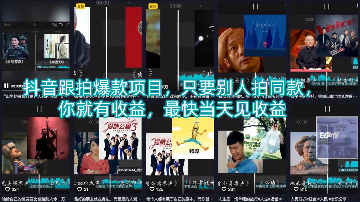 抖音跟拍爆款项目，只要别人拍同款，你就有收益，最快当天见收益-菠萝头