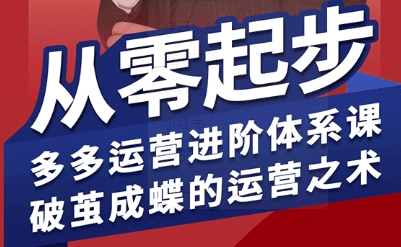 拼多多运营进阶系统课，从零起步，多多运营进阶体系课，破茧成蝶的运营之术（更新26年4月）-菠萝头