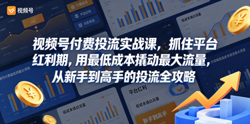 视频号付费投流实战课，抓住平台红利期，用最低成本撬动最大流量，从新手到高手的投流全攻略-菠萝头