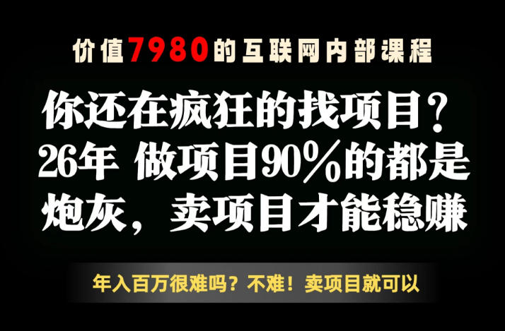 26年请不要疯狂的找项目了，卖项目远比你想象的暴利，你也可以月入10W+【揭秘】-菠萝头