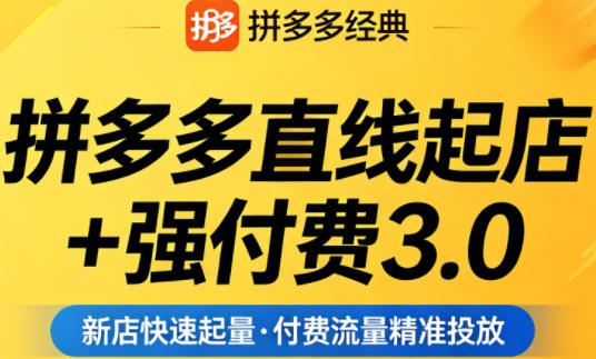 拼多多直线起店+强付费3.0，教你稳定起店、高效控投产、破解流量瓶颈（更新4月）-菠萝头