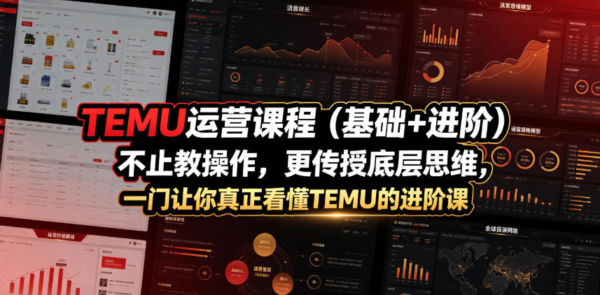 TEMU运营课程（基础+进阶），不止教操作，更传授底层思维，一门让你真正看懂TEMU的进阶课-菠萝头