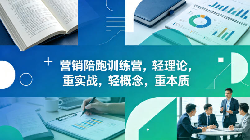 老A营销陪跑训练营，轻理论，重实战，轻概念，重本质（更新2026年6月）-菠萝头
