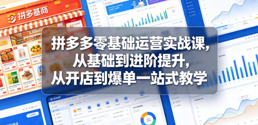 拼多多零基础运营实战课，从基础到进阶提升，从开店到爆单一站式教学-菠萝头