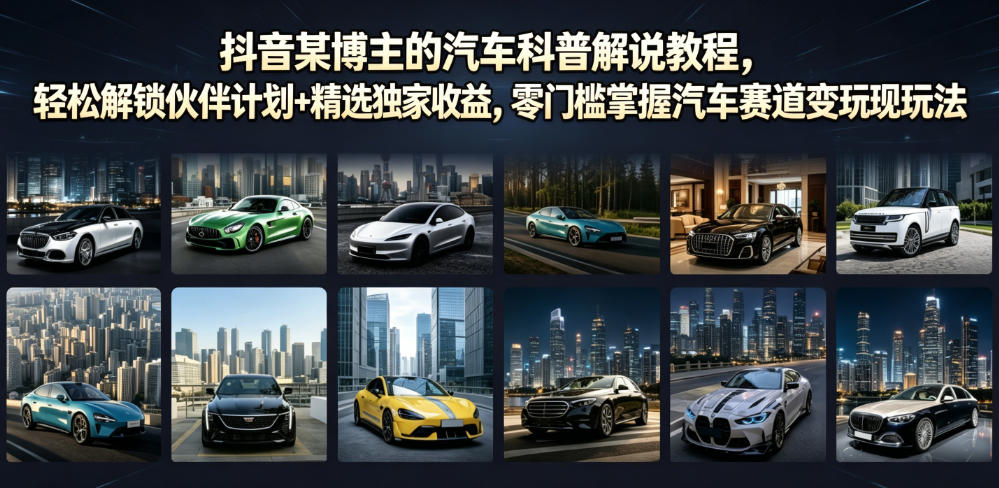 抖音某博主的汽车科普解说教程，轻松解锁伙伴计划+精选独家收益，零门槛掌握汽车赛道变现玩法-菠萝头