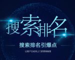 搜索排名引爆点：教你快速掌握各个搜索引擎排名算法，让客户主动找上你的秘笈-第一资源库