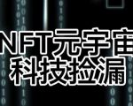 【元本空间sky七级空间唯一ibox幻藏等】NTF捡漏合集【抢购脚本+教程】-第一资源库
