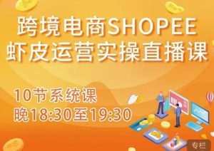 跨境电商Shopee虾皮运营实操直播课,从零开始学,入门到精通(10节系统课)-第一资源库