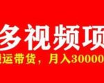 多多带货视频快速50爆款拿带货资格，搬运带货，月入30000【全套脚本+详细玩法】-第一资源库