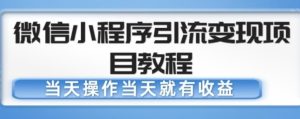 微信小程序引流变现项目教程,当天操作当天就有收益,变现不再是难事-第一资源库