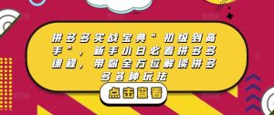 拼多多实战宝典“初级到高手”，新手小白必看拼多多课程，带你全方位解读拼多多各种玩法-第一资源库