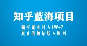 知乎蓝海玩法,躺平副业月入1W+,真正的睡后收入项目(6节视频课)-第一资源库