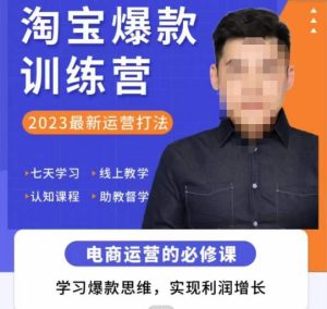 爱上黄昏·淘宝爆款训练营,2023最新运营打法,学习爆款思维,实现利润增长-第一资源库