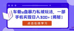 车载u盘暴力私域玩法,一部手机实现日入300+【揭秘】-第一资源库