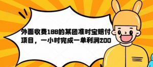 外面收费188的美团准时宝赔付项目,一小时完成一单利润200【仅揭秘】-第一资源库