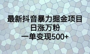 最新抖音暴力掘金项目，日涨万粉，一单变现500+【揭秘】-第一资源库