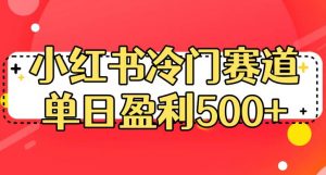 小红书冷门赛道，单日盈利500+【揭秘】-第一资源库