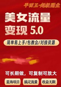 TK美女短视频变现项目无限复制(升级版),全网最高性价比项目【揭秘】-第一资源库