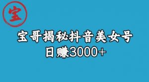 宝哥揭秘抖音美女号玩法,日赚3000+【揭秘】-第一资源库